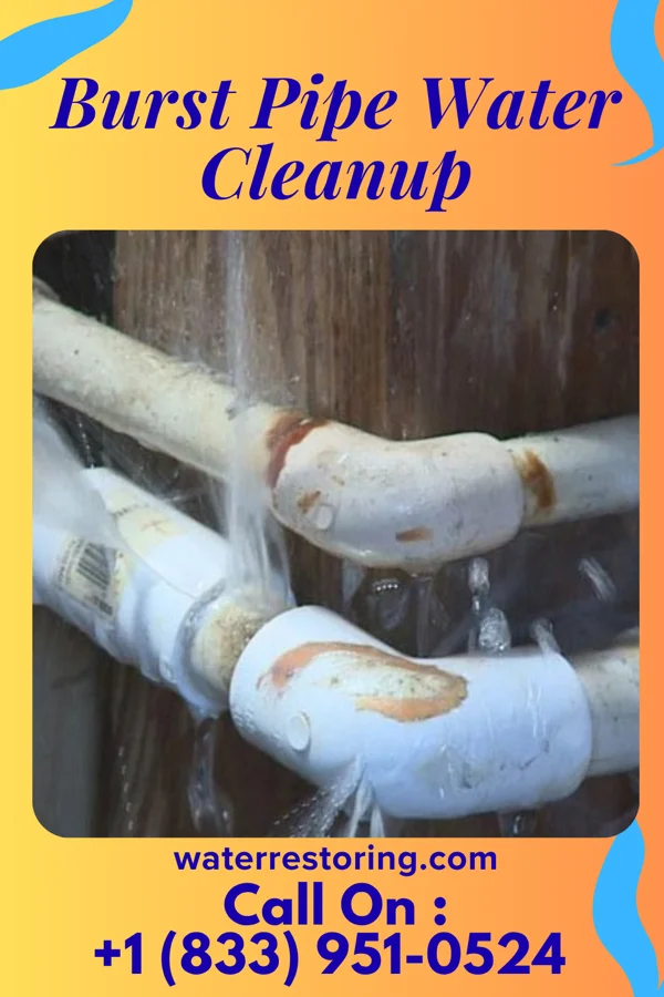 Burst Pipe Water Cleanup in Saginaw, TX