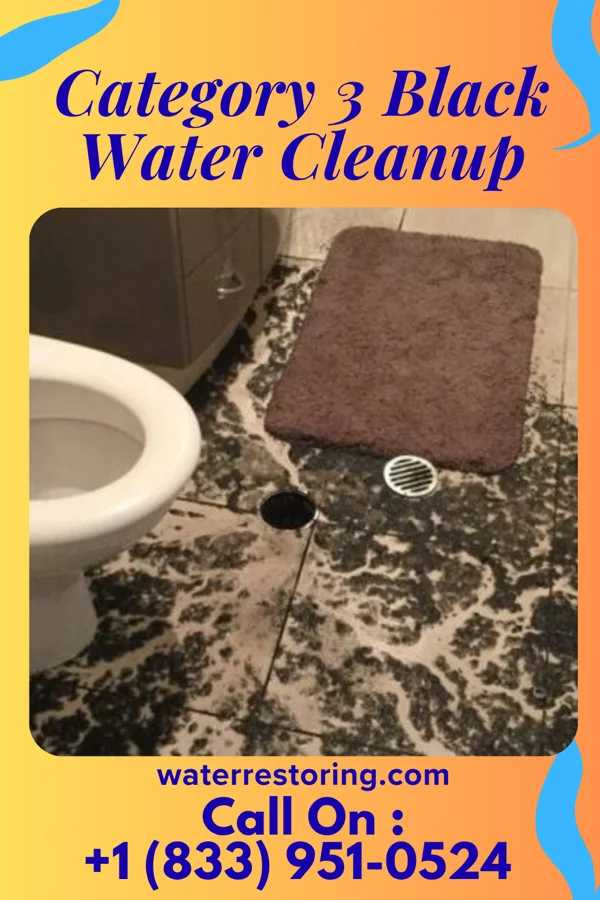Category 3 Black Water Cleanup in Saginaw, TX